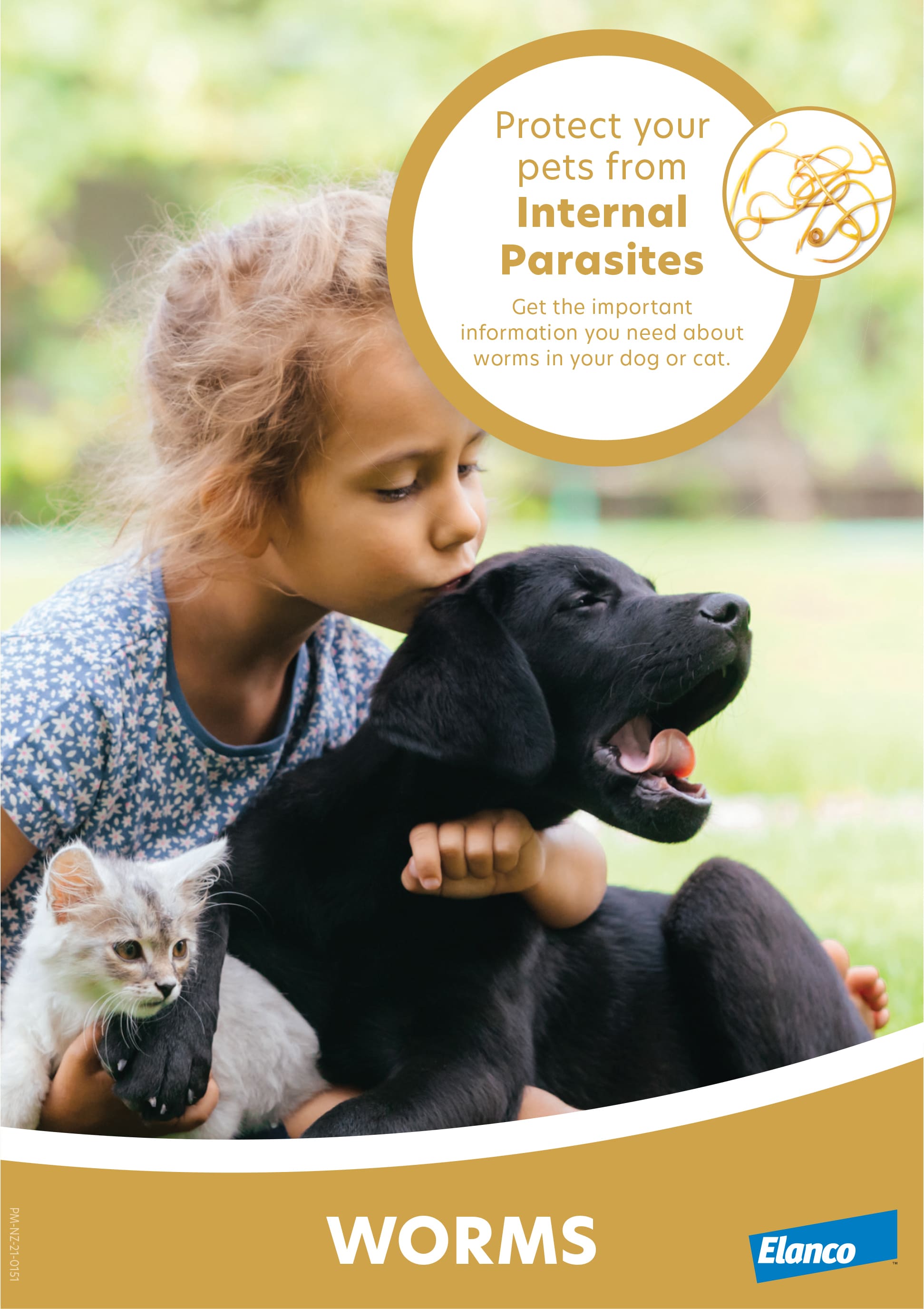 Can I Catch Worms from My Dog or Cat? NZ